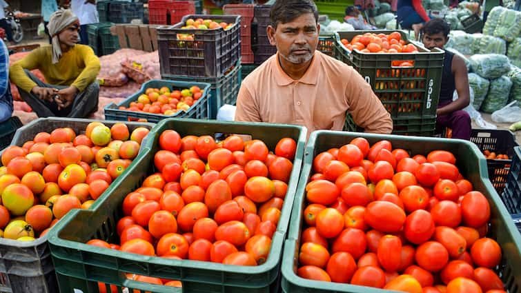 NCCF To Sell Tomatoes At Subsidised Rates After Prices Surged Upto Rs 100 Per Kg — Details