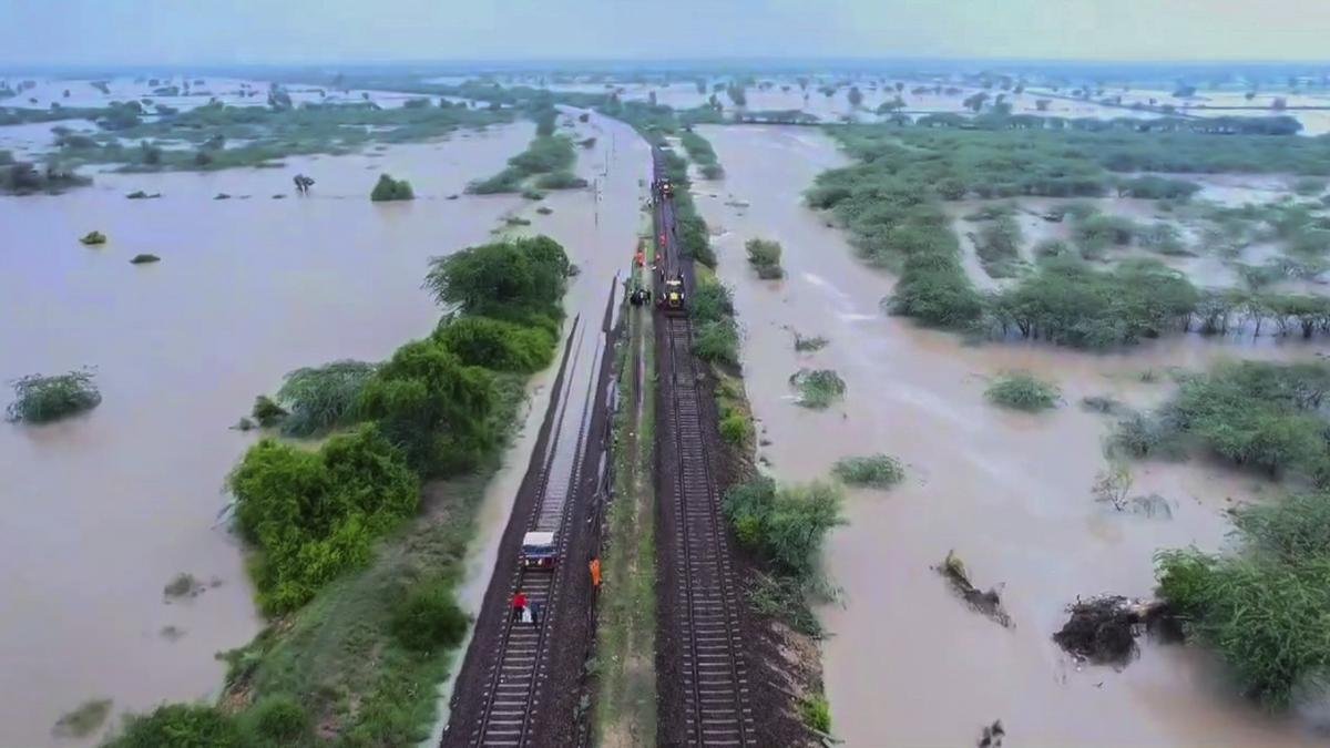 Rajasthan Rains: Incessant rain affects life in several districts