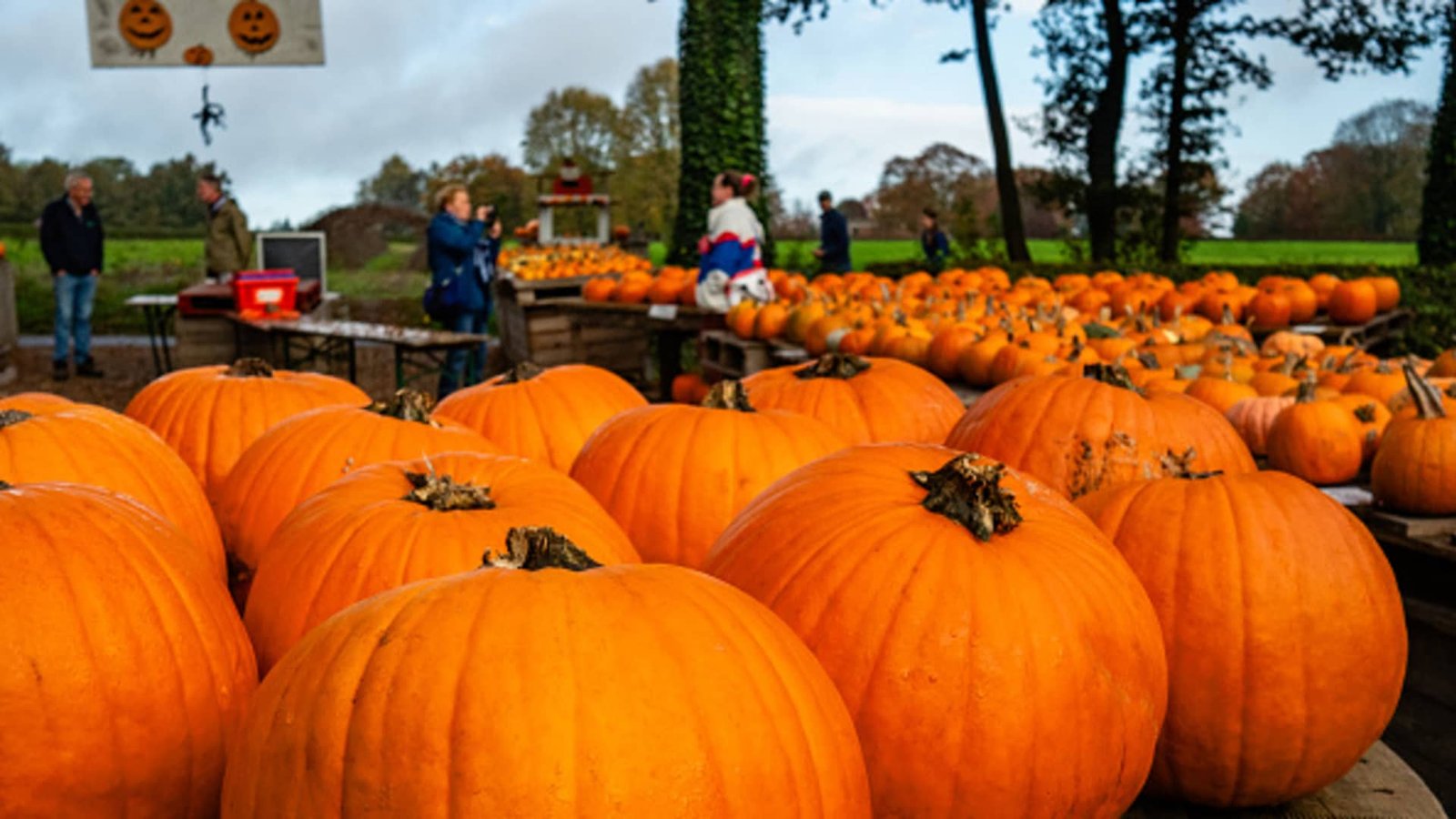 Euro zone inflation, October 2024