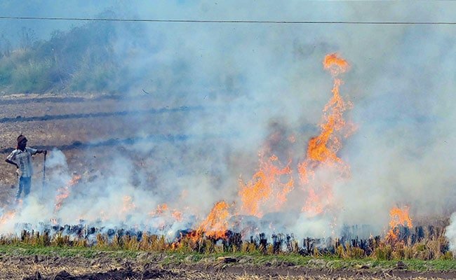 Supreme Court Raps Punjab, Haryana Over Stubble Burning